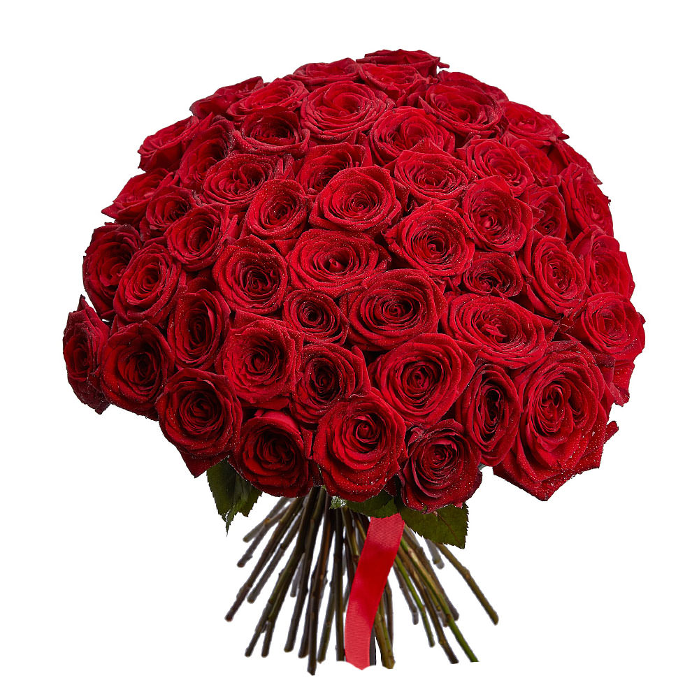 Акция! Розы Красные 51 шт. 50 см